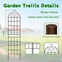 LZRS 2 Pack 83x20in Rustic Iron Arch Decoration Garden Trellis with Metal Coating Perfect for Supporting Climbing Plants Outdoor, Roses, Vines, Flowers, and Vegetables, Brown