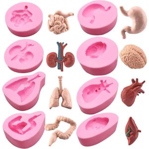 8 Pcs Organs Fondant Molds, Human Lung Heart Brain Silicone Molds, Halloween Gastrointestinal Kidney Cake Decorating Supplies, Chocolate Candy Cookies Marzipan Clay Resin Soap Candle