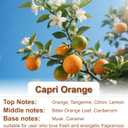 Car Air Freshener Hanging, Orange Adjustable Rope, Natural Essential Oil, 9ml Cute Air Diffuser for Car, | 45 Days Long Lasting Scent | Luxury Perfume for Men & Women | Capri Orange Scent