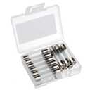 BOJACK 6x30mm 2 A 2 amp 250 V 0.24x1.18 Inch Volt F2AL250V Fast-Blow Glass Fuses(Pack of 18)