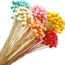 300 Stems Dried Flowers Brazilian Small Star Daisy Decorative Flowers Colorful Natural Dry Bouquet Mini Daisy Chamomile for DIY Home Wedding Floral Arrangements