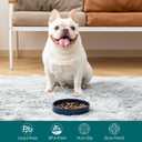 vancasso Ceramic Slow Feeder Dog Bowls, Puzzle Dog Food Bowls with Floral Maze, Anti -Slip Pet Food Dish for Small Breed, 0.6 Cups, Blue