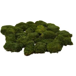Preserved Pole Moss Pillow Bun Cushion Natural Green Decorative Real Natural DIY Kit Terrariums Garden Art Wall Florist Easter Wedding Decor (1.5 sq.ft., Green-A)