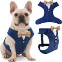 Dog Tuxedo for Wedding Outfit, Dog Suit and Tie Costumes for Birthday, Halloween, Cosplay, Christmas Party, Pet Formal Wear with Bowtie, Tux for Medium Dogs, Bulldog, Labrador, Husky (M (Chest 18.9-25.9 in))