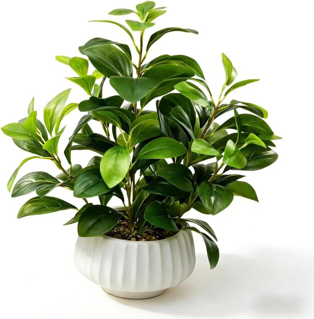 Artificial Peperomia Plant 16.5 Tall Lifelike Faux Greenery in 6 White Ribbed Ceramic Pot Realistic Indoor Fake Branches for Home Office Desk Shelf Bathroom Bedroom Farmhouse Decor