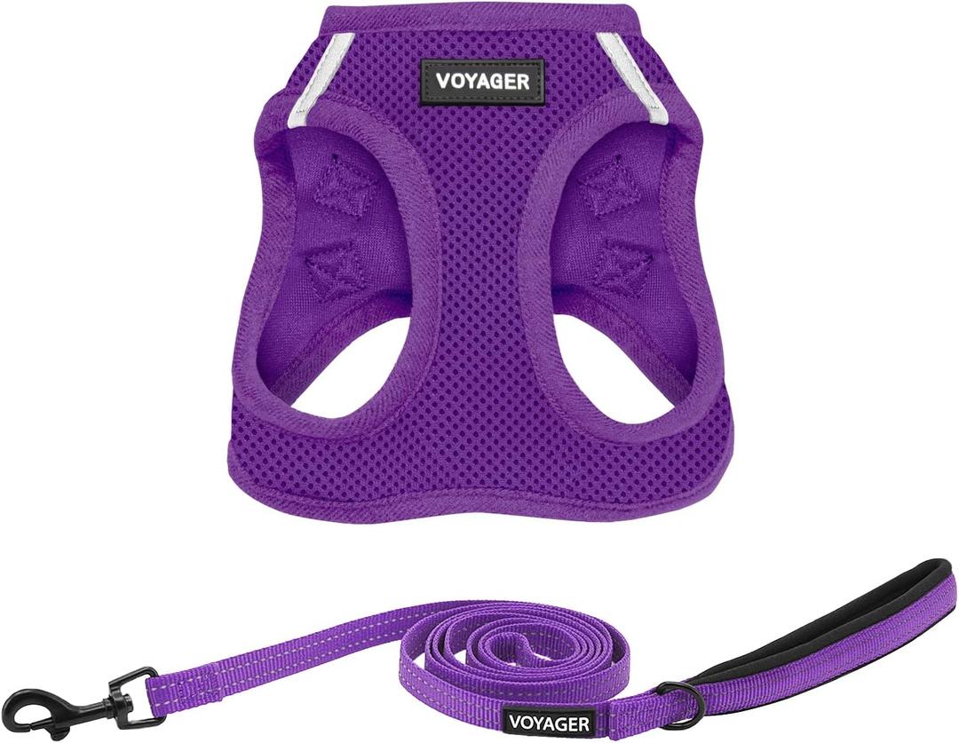 Voyager Step-in Air All Weather Mesh Harness and Reflective Dog 5 ft Leash Combo with Neoprene Handle, for Small, Medium and Large Breed Puppies by Best Pet Supplies - Set (Purple), S