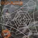 Halloween Spider Web Giant Spider Decorations Fake Spiders with Triangular Huge Spiders Web for Indoor Outdoor Halloween Decorations Yard Home Costumes Parties Haunted House Décor