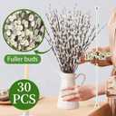 Oning 30 Stems Real Dried Pussywillow Preserved Greenery Branches for Vase- Natural Pussywillows with White Flowers, 16''-17'' Snow Willow Branches for Easter Wedding Home Party Hotel Fireplace Decor
