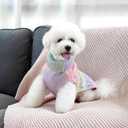 WOYYHO Small Dog Sweater Colorful Knitted Dog Sweater with Leash Hole Turtleneck Puppy Sweaters Warm Dogs Winter Clothes for Chihuahua Yorkies Havanese (Small, Rainbow Colors) (Small (6-10lbs))