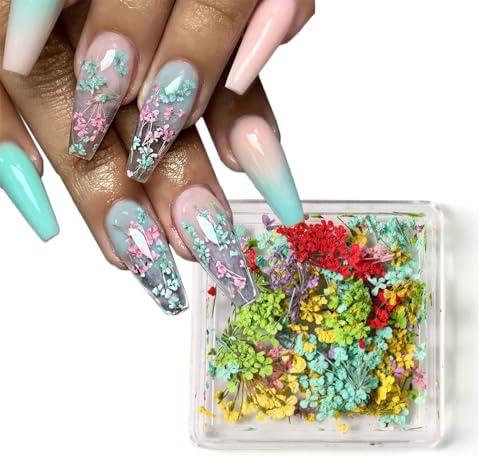 Dried Flowers Nail Art, Colorful Small Natural Floral Dried Flower Decals 3D Mini Real Natural Dried Flowers Nail Art Supplies Spring Summer Acrylic Nails Nail Accessories for Manicure Makeup DIY 2 Pack