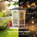 2 Pack Solar Bird Feeders for Outdoors Hanging - Attract Wild Birds & Cardinals, Elegant Minimalist Design, Garden Dcor, Unique Gift