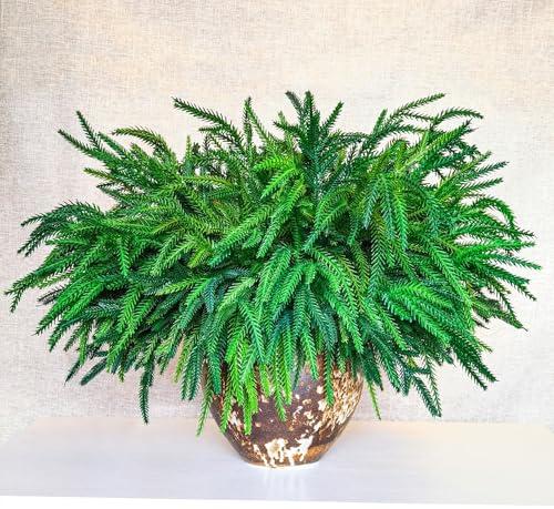 CONNICS 18Pcs Christmas Norfolk Pine Branches, 18 Inch Artificial Christmas Branches DIY Crafts Faux Norfolk Branches for Xmas Indoor Outdoor Home Decor