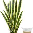 Artificial Snake Plant, 3ft Fake Sansevieria with Basket, 35" Fake Mother in Law Plants, Perfect Faux Potted Plant Greenery for Indoor Home Office Store Lifelike Decoration (Yellow)