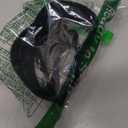 YYXR Womens Black Vintage Plus Elastic Stretchy Waist Cinch Trimmer Belt (Medium)