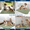OLANLY Dog Door Mat for Muddy Paws 24x16, Ultra Absorbent Chenille Mud Doormat, Non-Slip Washable and Dirt Trapping Doormat for Indoor Entryway, Quick-Dry Indoor Pet Bed Mats for Dogs, Sage Green