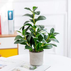 AlphaAcc 16 inch Artificial Indoor Plants Office Desk Faux Plant Peperomia Leaf Ficus Plant Realistic Small Fake Farmhouse Plants for Home Kitchen Bathroom Bedroom Evergreen Decor