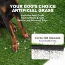 HQ4US Dog Grass Pad with Tray, Odor Free Grass Pee Pad for Dog Litter Box