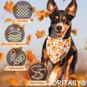 Fall Thanksgiving Dog Bandanas for All Dogs (2-Pack Triangle Reversible Pet Scarves) (Autumn Pumpkin Maple Leaves) Premium Fabric Holidays Bandana, X-Large Q