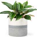Dahey Jute Cotton Rope Plant Basket Mini Woven Storage Basket for Up to 7" Planter, Decorative Flower Pot Cover Closet Storage Bin Table Desk Organizer Modern Home Decor, Grey (Grey and White)