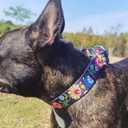 Serijoars Adjustable Martingale Dog Collar Heavy Duty Nylon Dog Collar for Medium Large Dogs Walking Training Boy and Girl Dogs (XL, Black)