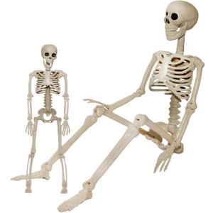 Skeleton Halloween Decorations Outdoor Indoor - 1Pcs 36" 1Pcs 16" Posable Plastic Skeleton,3FT Movable Joints Full Body Bones,Funny Halloween Decor for Party,Porch,Haunted House,Yard, Garden,Graveyard