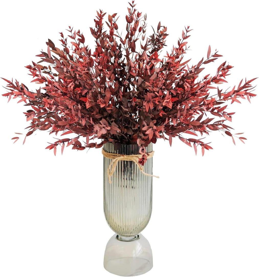 Perserved Dry Leaves, Dried Eucalyptus Leaves, Real Plant, Willow Eucalyptus, Vase Filler, Wedding, DIY, Shower, 30 pcs (Red)