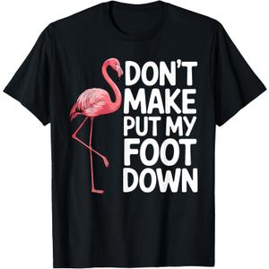 Funny Flamingo Design for Men Women Kids Bird Pink Flamingo T-Shirt (M, Black)