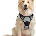rabbitgoo Dog Harness No Pull with 2 Leash Clips, Adjustable Soft Padded, Reflective Oxford No Choke Pet Vest with Easy Control Handle for Medium Sized Dogs, Grey, M (Gray)