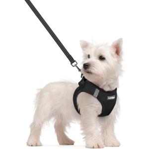 Rabbitgoo Dog Harness Small Sized and Leash Set, Step in Soft Light Puppy Vest, Breathable Mesh Pet Harness, Reflective for Safe Easy Walking, Black S (S (Chest: 15.1 - 16.5"))