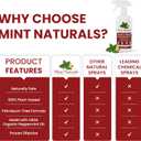 Natural Rodent Repellent Spray USDA Organic Peppermint Oil Formula that Helps Deter Rodents, 16 oz Made in USA by Mint Naturals