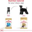 Royal Canin Breed Health Nutrition Miniature Schnauzer Puppy Dry Dog Food, 2.5 lb Bag (EXP 04/16/26)