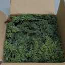 6Ft Realistic Artificial Cedar Pine Garland - Thick Lush Full Faux Greenery Garland for Fireplace Mantle, Indoor Outdoor Christmas Holiday Home Party Decorations (Standard-6FT-1PCS)