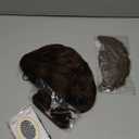 ATAYOU Adult Short Brown Shag Wig and Beard with Glasses Accessories for Mens Adult Halloween Cosplay