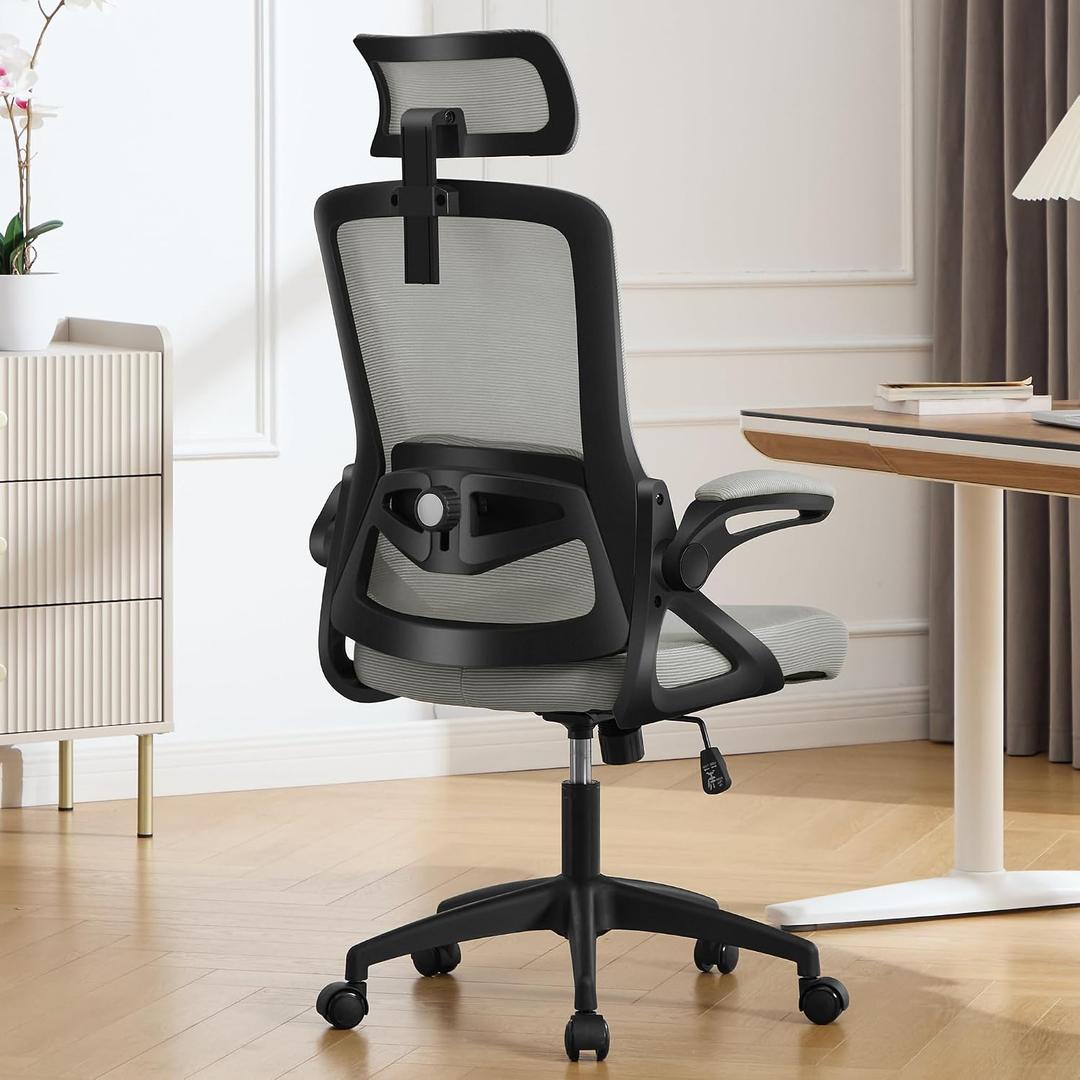 Fizzin Office Chair Mesh Computer Chairs with Adjustable Lumbar Support, 11 x 24 x 20 inches