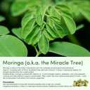 Moringa Capsules,1200mg Pure Moringa Powder Organic Capsules,Green Superfood SupplementEnergy, Skin, Immune Support,60count (EXP 07/01/28)