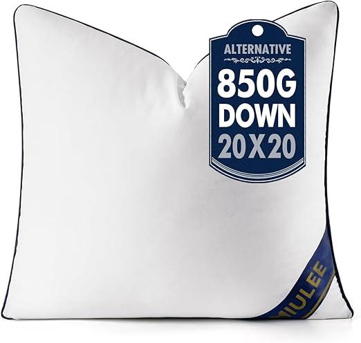 MIULEE 20x20 Inch Throw Pillow Insert Premium Throw Pillow Virgin Microfiber Stuffer Rectangle Pillow for Sofa Bed Couch, 2 pcs, White