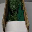 Small Christmas Tree 3FT Artificial Desktop Xmas Tree for Holiday Decor 160 Branch Tips,Green