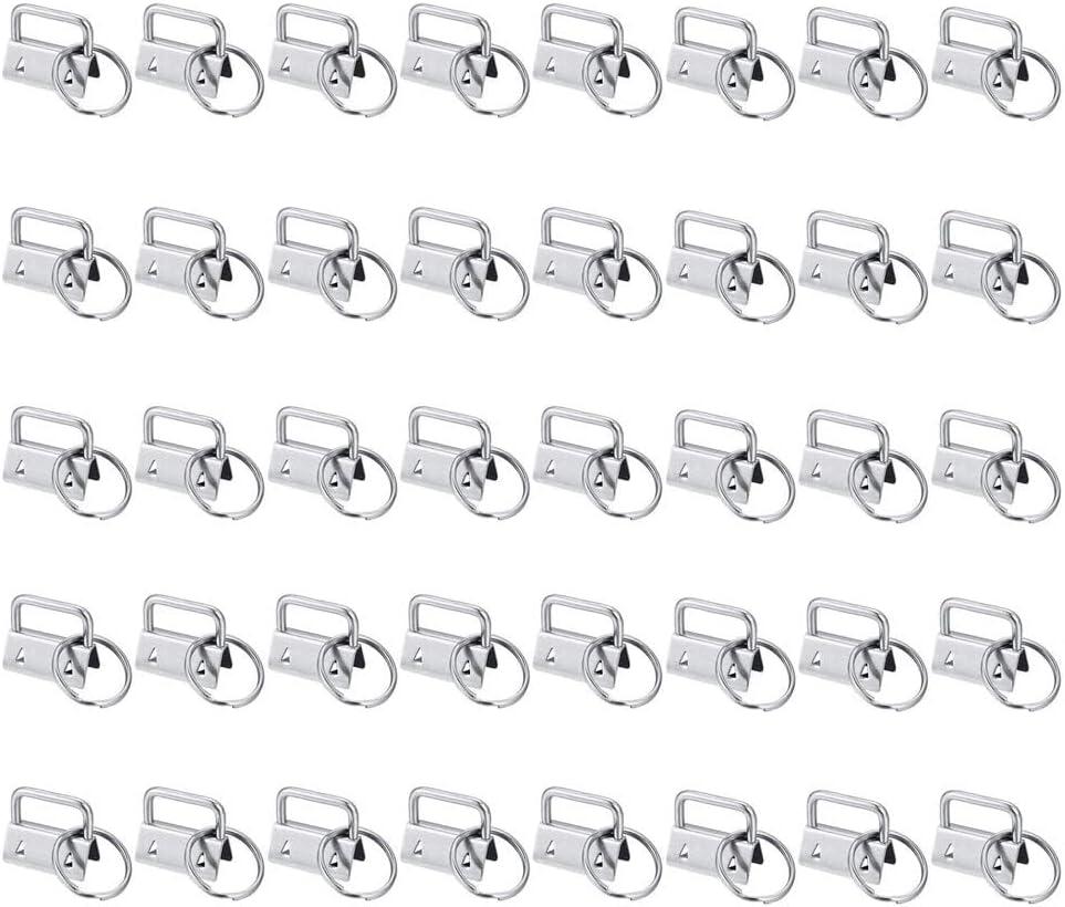 sansheng 60 Pack Key Fob Hardware 1 inch, Keychain for Making Key Chains (Silver)