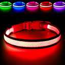 LED Dog Collar, Light Up Dog Collar USB Rechargeable, Brightest Dog Lights for Night Walking, Adjustable Dog Collar Light for Dog Safety(Small, Ruby Red)