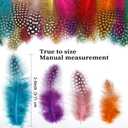 FeelfunFeather 240 pcs Colored Spotted Feathers 2-3inch Bulk Small Guinea Fowl Polka Dot Feather for DIY Crafts Clothing Hats Decoration