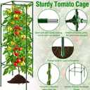 Fabulas Tomato Cage, Square Tomato Trellis Plant Support Stake Cages for Garden and Pots Tall Up to 63 Inch Adjustable Cucumber Trellis for Raised Bed Outdoor Climbing Plants Vegetables Flower, 3 Pack