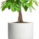 Ceramic Pot for Plants 7 Inch - Modern Round Indoor Outdoor Planter with Drainage Hole and Saucer, Home House Office Room Decor, White
