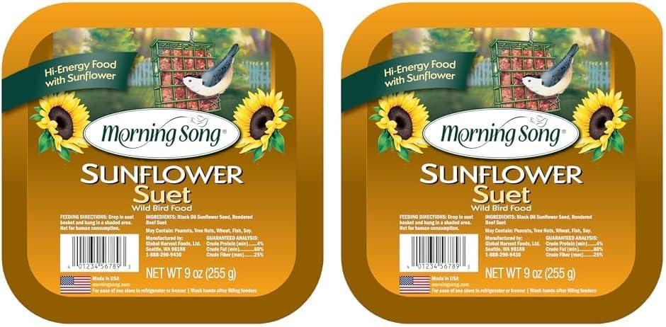 Morning Song 11454 Sunflower Suet Wild Bird Food, 9-Ounce (Pack of 12)