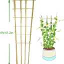Natural Bamboo Trellis, 4Feet,3Pack,Fan-Shaped Plant Support Trellis for Outdoor and Indoor Potted Climbing Plants,Vegetables, Cucumber, Tomato, Hoya,