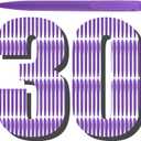 Aozora Pens Bulk 30 Pack Click Pens No Bleed Wholesale Retractable Ballpoint Pens Medium Point,Smooth Ink Pens for Journaling School Office Supplies 1.0MM (Purple Ink)