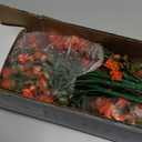 Ouddy Decor 24 Bundles Artificial Flowers for Outdoors UV Resistant Fake Plastic Plants Faux Greenery Stems for Spring Summer Indoor Garden Patio Window Box Kitchen Home Decor, Orange