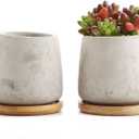 T4U 2.5 Inch Cement Serial Raised Sucuulent Cactus Plant Pots Flower Pots Planters Containers Window Boxes with Bamboo Tray Grey - Pack of 2 (Gray)