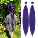 Purple Braiding Hair 20 Inch Pre Stretched Braiding Hair Extensions 2 Packs Long Synthetic Crochet Hair Twist Braids for Stage Party Halloween Costume Cosplay