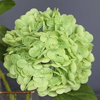 3D Real Touch Large Artificial Hydrangea Flower, Medium Green Faux Hydrangea for Wedding, Party, Luxury Home Decor and Floral Arrangement, 3 Pack 