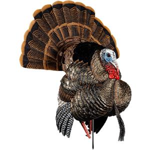 AVIAN-X HDR Strutter Turkey Decoy - Rugged Durable Realistic Lifelike Dominant Body Standing Hunting Decoy with 2 Removable Heads & Wings, Beard, Adjustable Tail Fan, Mounting Stake & Carry Bag